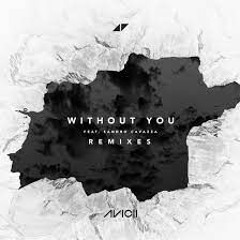 Without You (Aviance remix) (sped up)