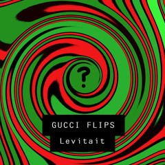 Gucci Flips
