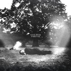 I Have More Than One Soul