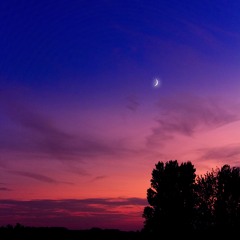Stars Gone Out