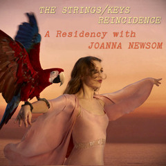 The String/ Keys Reincidence 2024