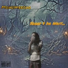 Moneymeecho Ft Mike Montana Hit stick