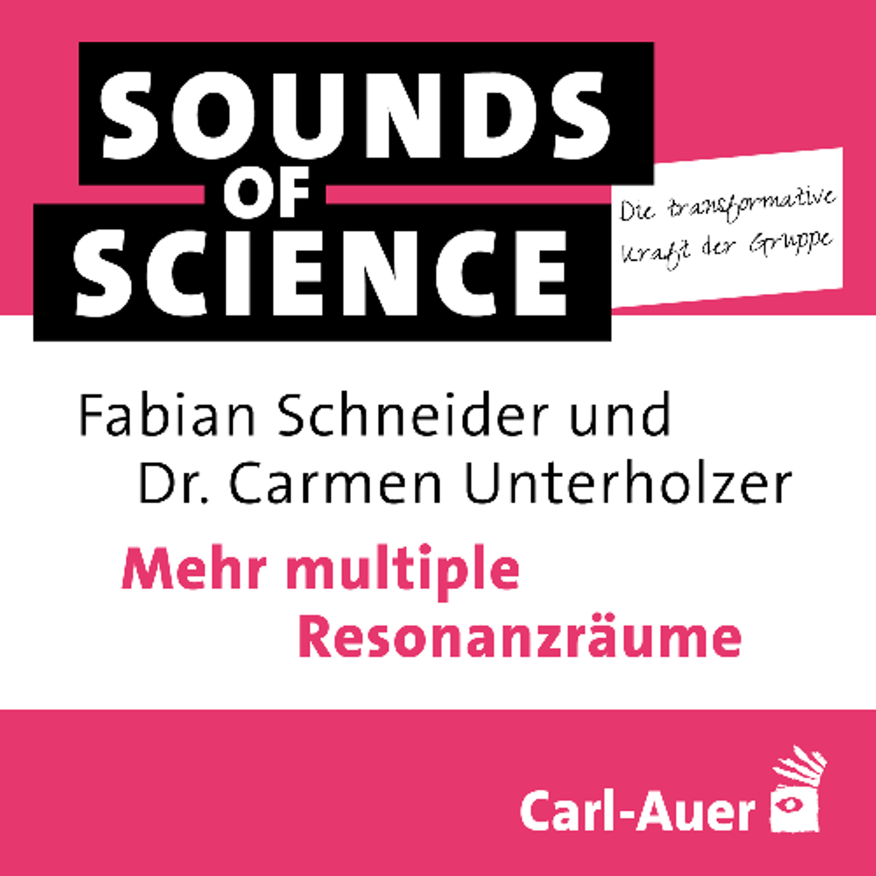#6 Die transformative Kraft der Gruppe | Schneider & Unterholzer – Mehr multiple Resonanzräume