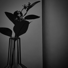 wronged (feat. hiraeth)