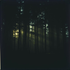 Out in the Clearing
