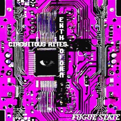 Circuitous Rites & Entheoform.wav