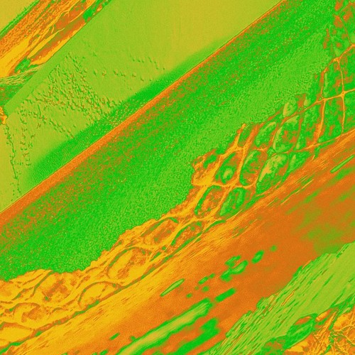 ONDAS W/ Ryosuke Yoshimura  280724