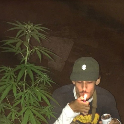 ZIMER feat.(LIL MORGS)- TROPA DO MANTÉM