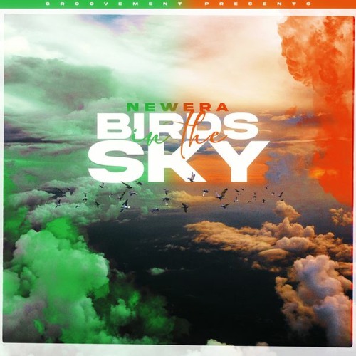 Birds In The Sky (Symmetrik Remix)