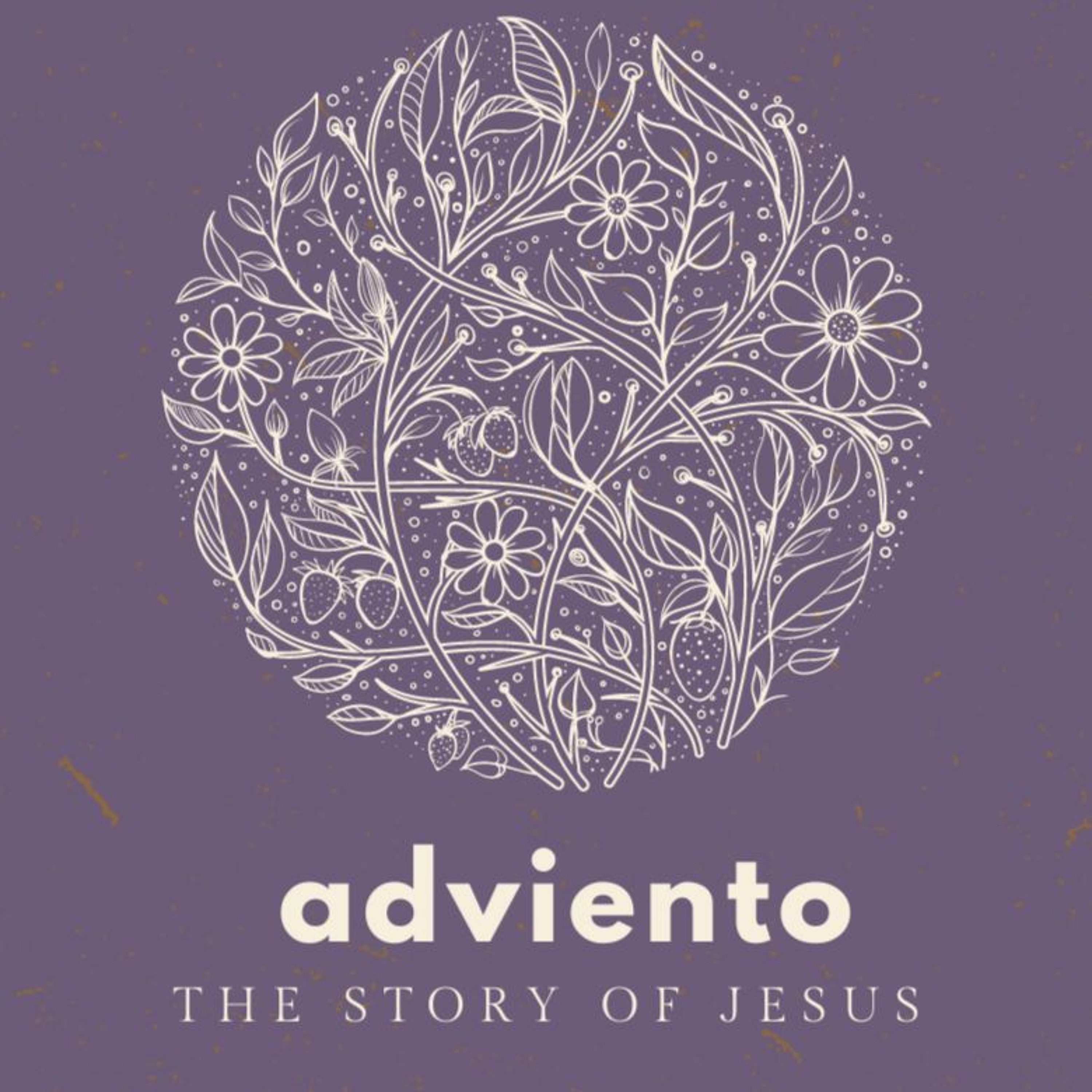 Entering into the Church Year in Our Homes: Beginning with Advent