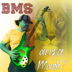 HIP HOP REGGAE ROOTS  (BMS SEB MUSIC) 23/09/2014 instrumentale