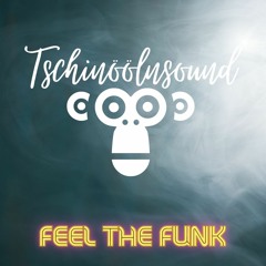 Feel The Funk - Tschinöölnsound Dj MIx