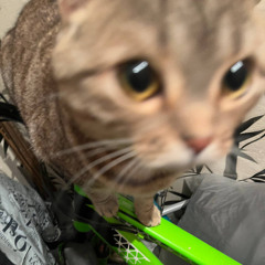 не расстраивайся!!!