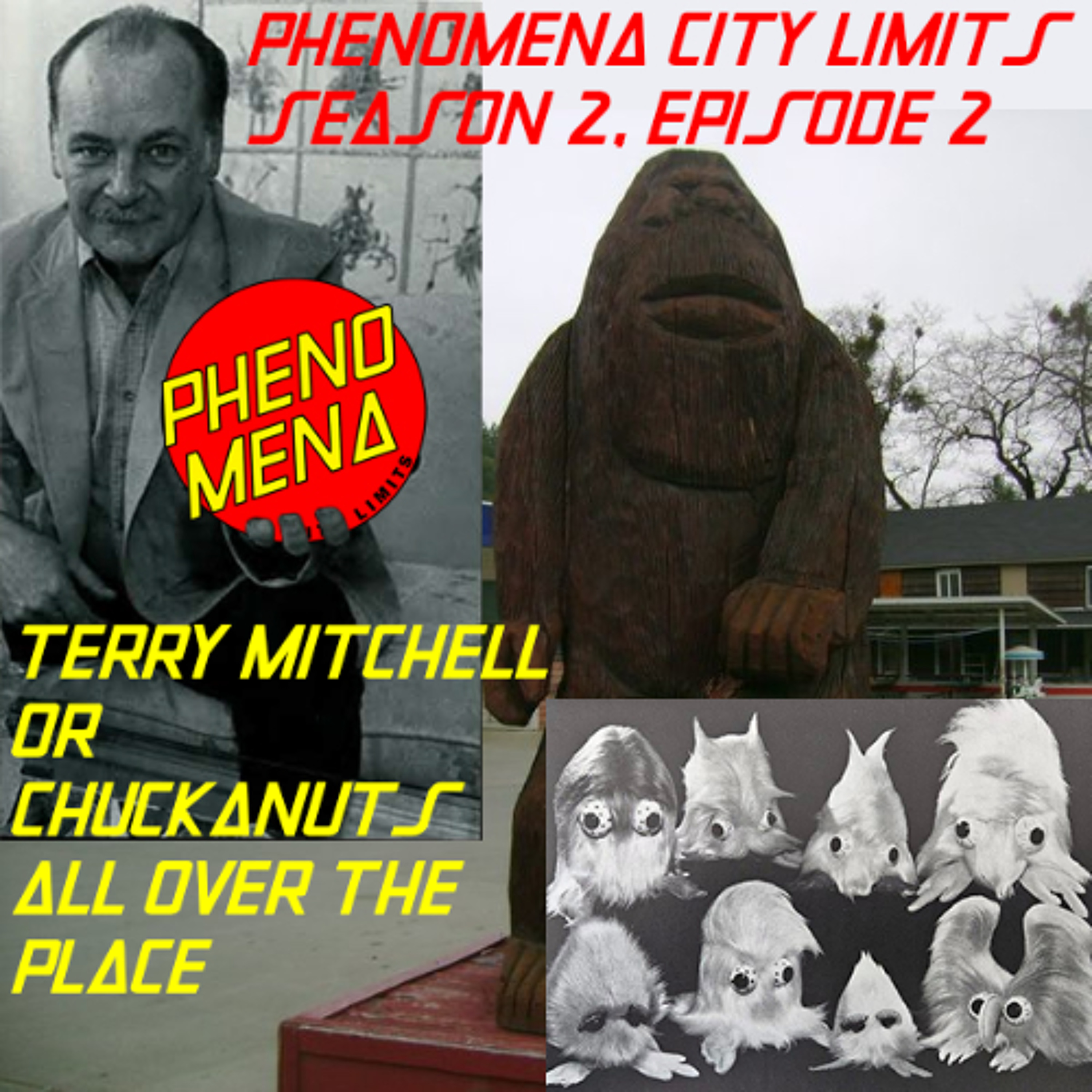 Phenomena City Limits
