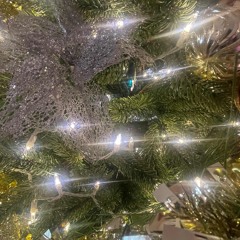 blitz [junglegud + plenty]