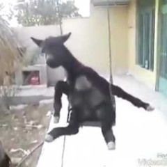 ركبني المرجيحه