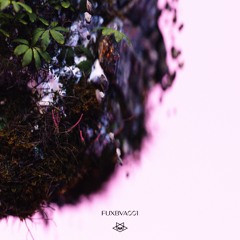 PW PREMIERE | BERGA - Wrong Way Go Back [FUXBVA001]