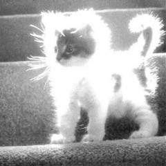 Глупая(mylancore remix)