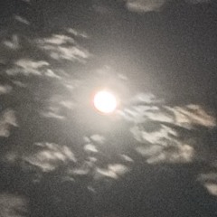 🏴‍☠️🏴‍☠️🏴‍☠️🩸🩸🩸*free 4 nøn prøf1t*-!!!{{{666+999}}}!!!-[prod.me]🩸🩸🩸🏴‍☠️🏴‍☠️🏴‍☠️