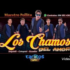 (( los CHAMOS DEL AMOR DJ PATRIX REMIX 2021)) 130 BPM