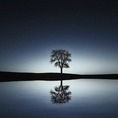 The Insatiable Wonder Of Being -  #OutsideCompetition