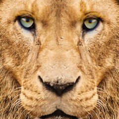 Miley Cyrus - French Montana (feat. Future)