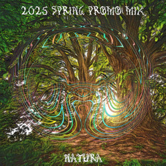 2025 Spring Promo Mix (Original/Unreleased)