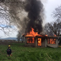 ㅈㅣㅂ - 한로로 (band cover live)