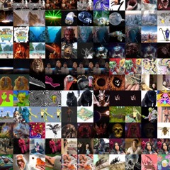 brain is like a sponge