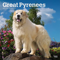 FREE EBOOK 🗂️ Great Pyrenees | 2023 12 x 24 Inch Monthly Square Wall Calendar | Brow