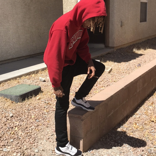 Finesser Professor