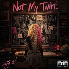 Not My Twin