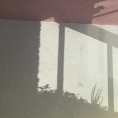 Dead Flowers - Rolling Stones cover