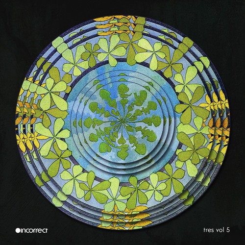 Kaniun - Walk With Me (Original Mix) ~ Incorrect Music