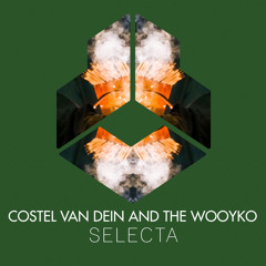 Costel Van Dein and The Wooyko - Selecta