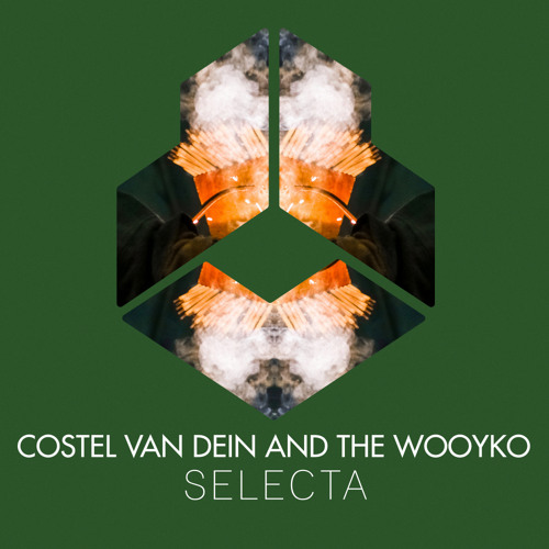 Costel Van Dein and The Wooyko - Selecta
