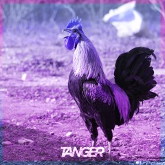 Rogue Rooster by tanger B)