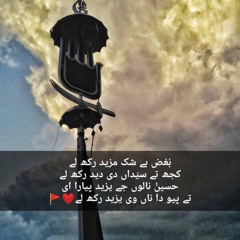 SALAAM YAA HUSSAIN QASEEDA-