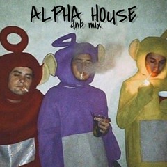 Alpha House DNB