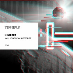 TF002: Ninu Brt - Hallucinogenic Meteorite (Original Mix)