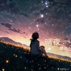 暗夜微光
