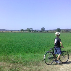 Shimza & Kabza de Small - 2 Step (Starjammers Dojopadel-edit)