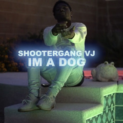 Shootergang VJ - Im A Dog