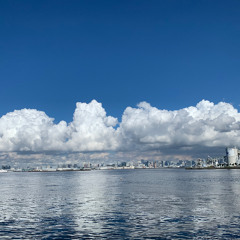 yume koi no yokan - 2025:08:05 12.28