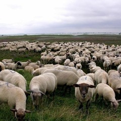 blackbear idfk slowed