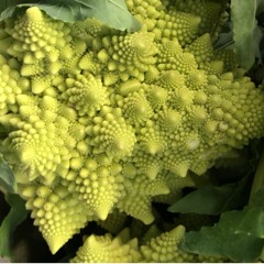 Taking A Walk In Mario's Galaxy