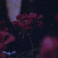 Come On @spidxrs808 #808ACT