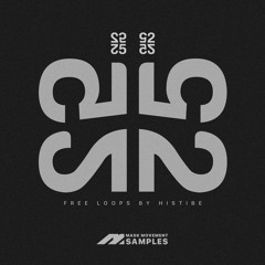 25 Free Loops By Histibe (freebie)