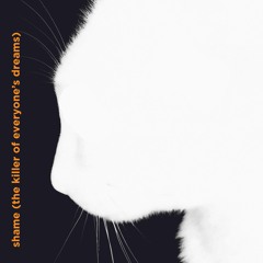 Shame (the killer of everyone's dreams)