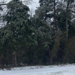 text me after this episode @bridgekids